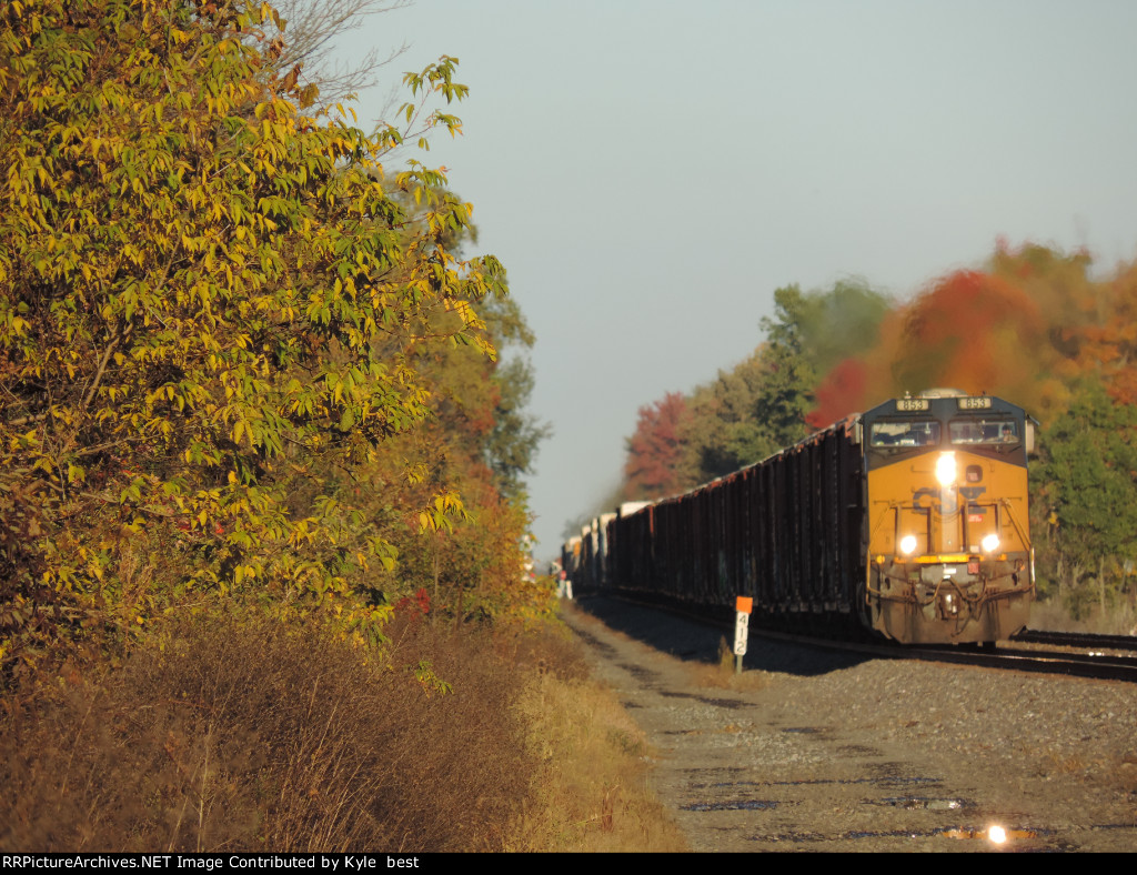 M363 at golden hour 